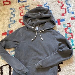 American Apparel sweatsuit (sweater and sweatpant)